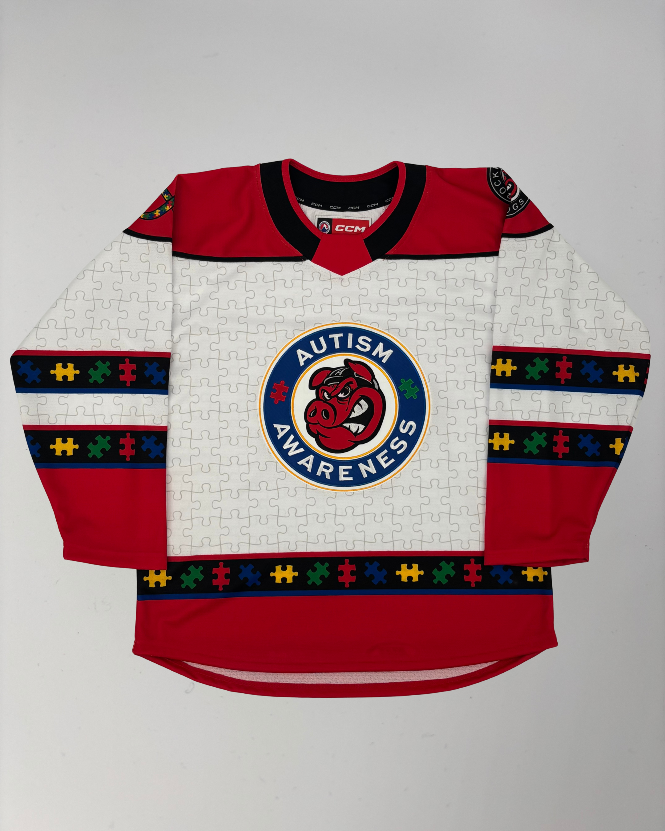 CCM Rockford IceHogs 