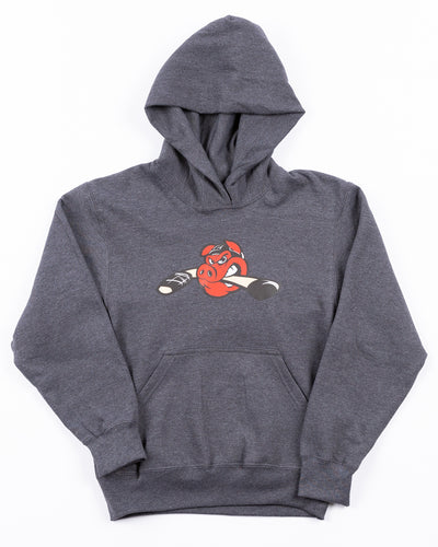 grey youth hoodie with Rockford IceHogs Hammy printed on the front - front lay flat