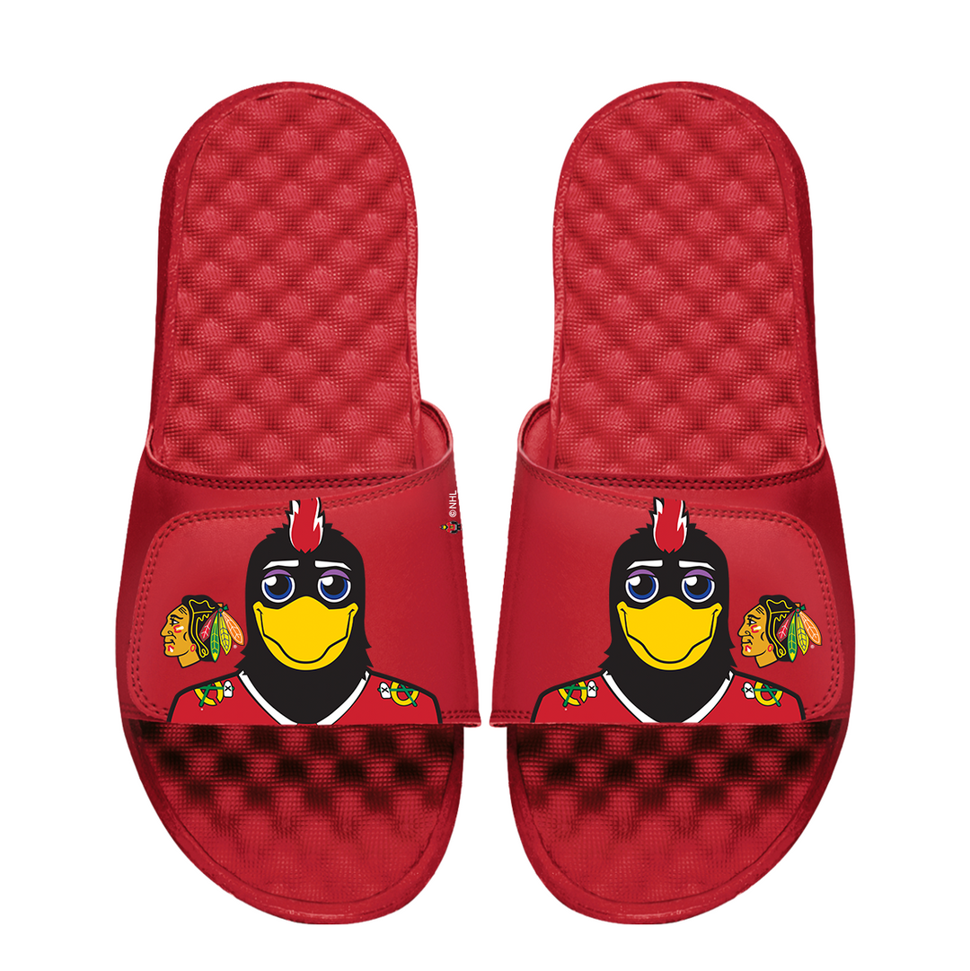 Chicago Blackhawks Mascot