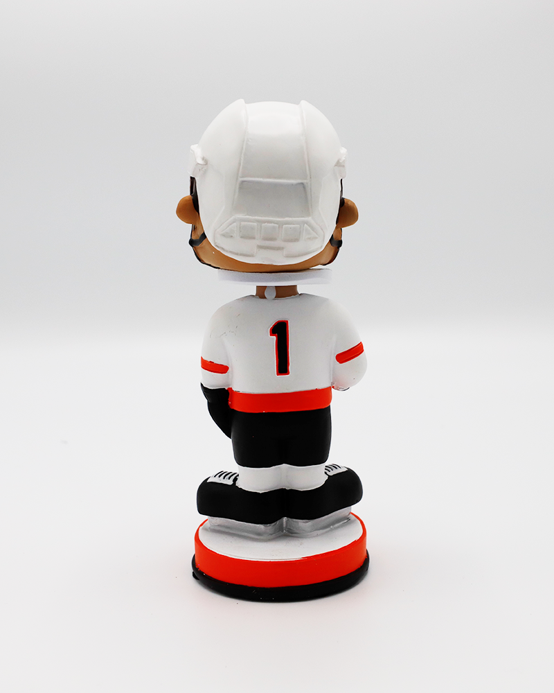 Rockford IceHogs HOF bobblehead - back lay flat