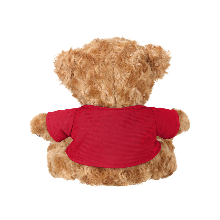 Chicago Blackhawks Centennial Seated Plush Bear