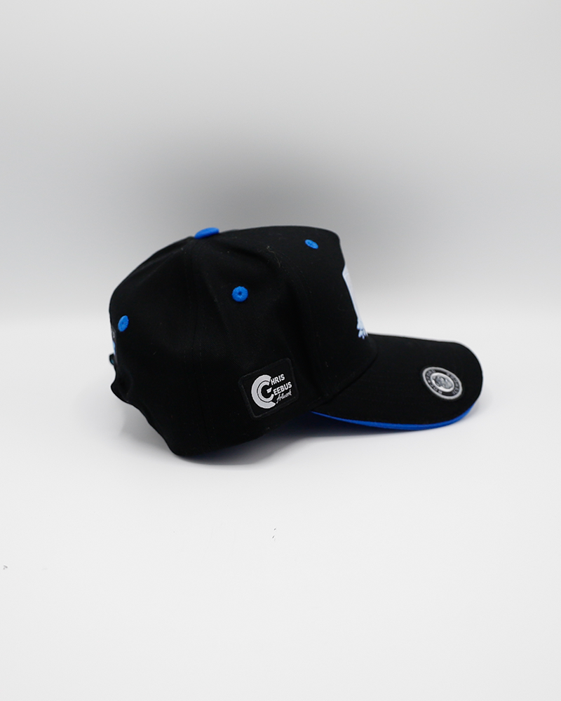 black adjustable hat part of local artist series with Rockford IceHogs inspired design created by Chris Geebus - right side lay flat