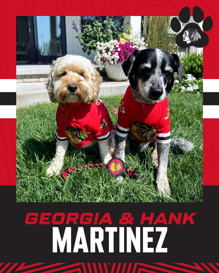 Chicago Blackhawks Hockey Puck Pet Toy