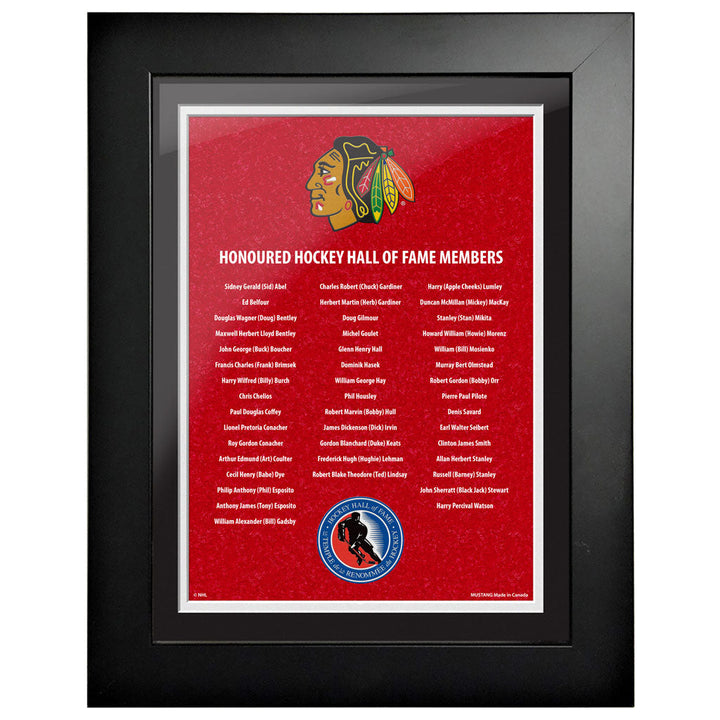 Chicago Blackhawks Hockey Hall of Fame Framed Honored Members