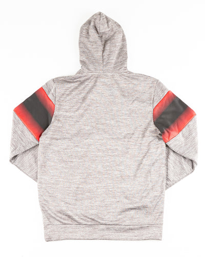 grey Colosseum hoodie with Rockford IceHogs wordmark across chest - back lay flat
