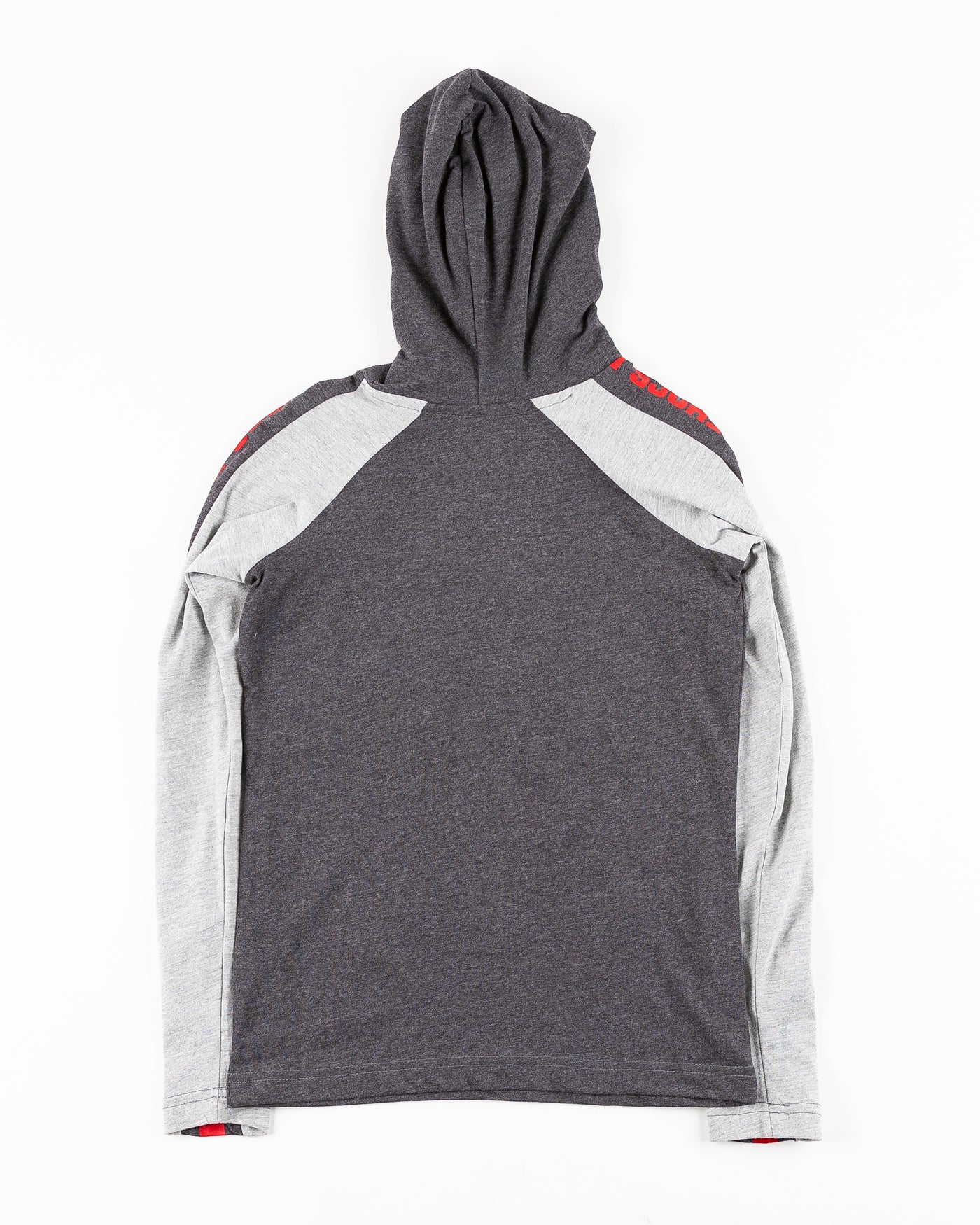 Colosseum two tone youth hoodie with Rockford IceHogs logo across front and wordmark on sleeves - back lay flat