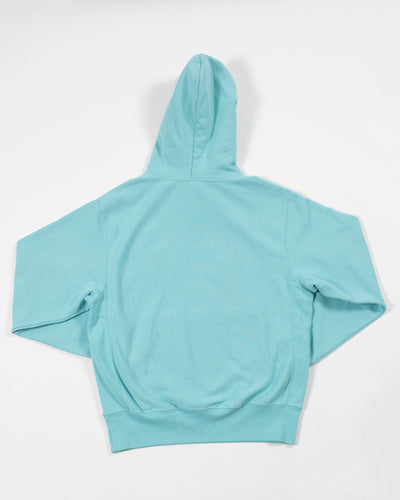 Champion Chicago Blackhawks light blue tonal hoodie with embroidered primary logo and Chicago Blackhawks wordmark on left chest - back view 