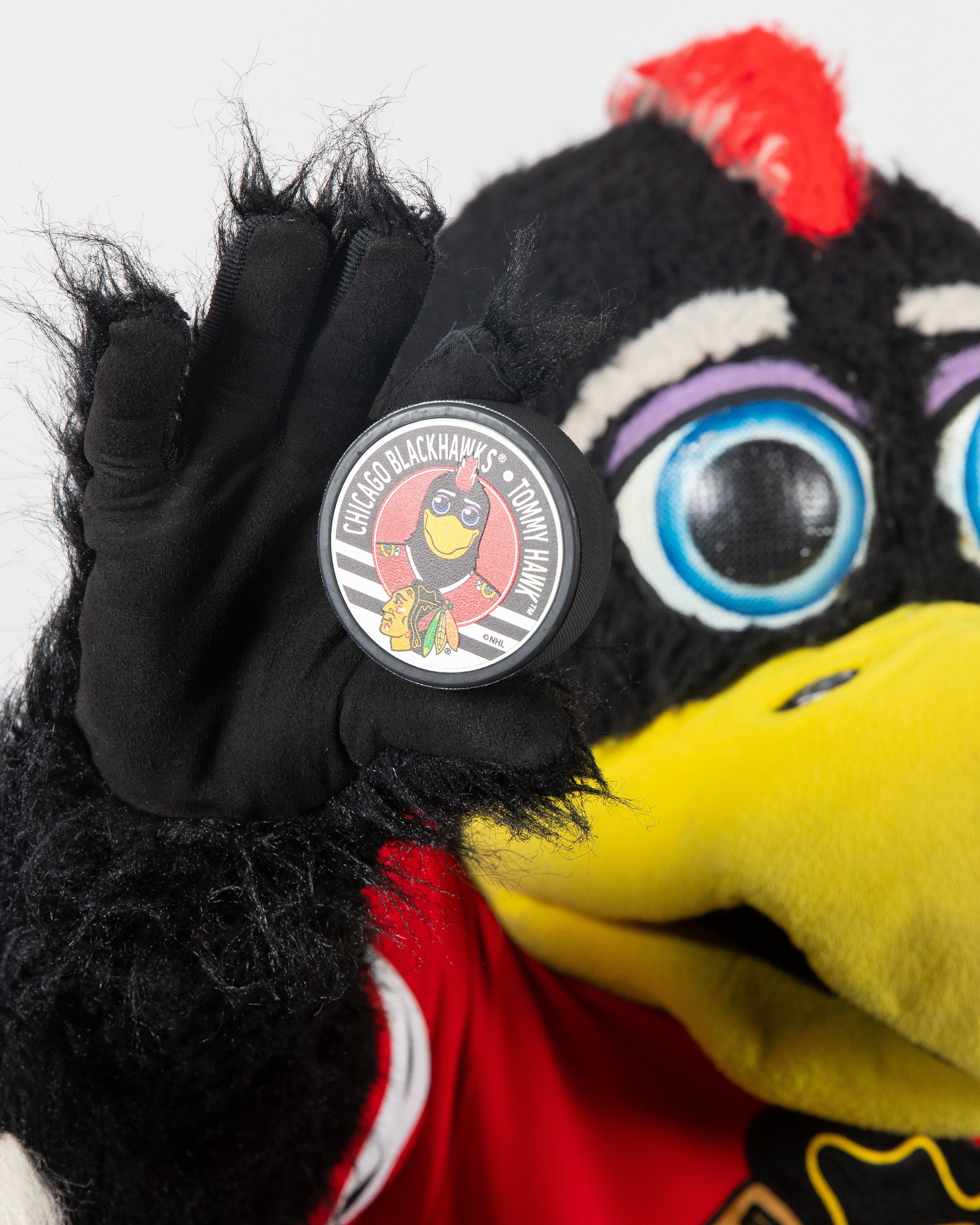【激レア】USA製 NHL シカゴ・ブラックホークス ラグマット タペストリー Chicago Blackhawks Mascot Puck – CBH Shop